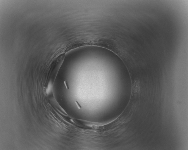 X0000077341202200610271753