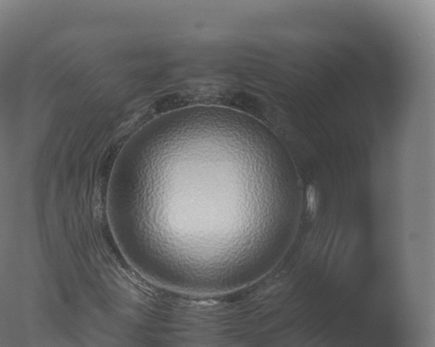 X0000077341203200610271753