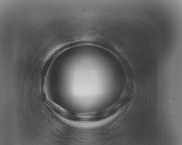 X0000077341214200610271753