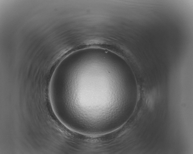 X0000077341217200610271753