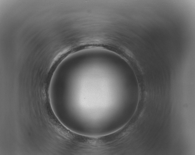 X0000077341218200610271753