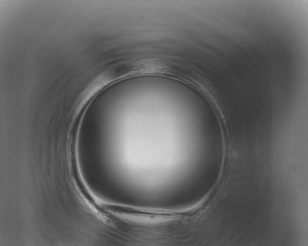 X0000077341235200610271754