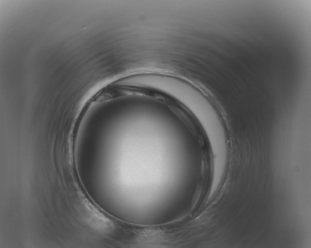 X0000077341238200610271754