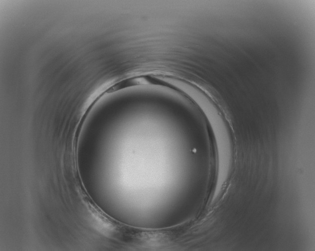 X0000077341242200610271754
