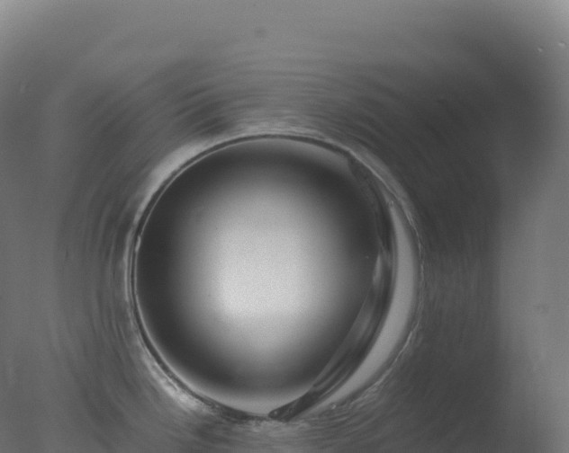 X0000077341246200610271754