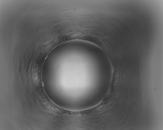 X0000077341250200610271753