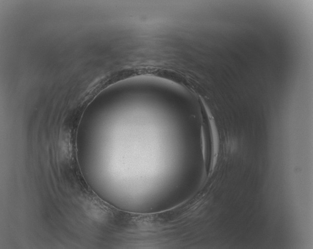 X0000077341252200610271753