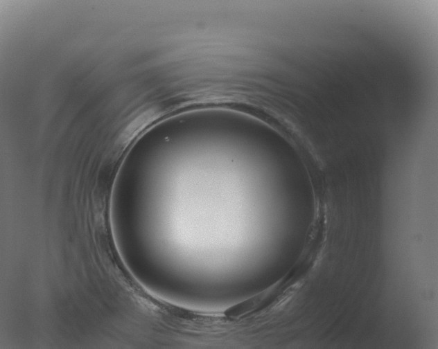 X0000077341273200610271753