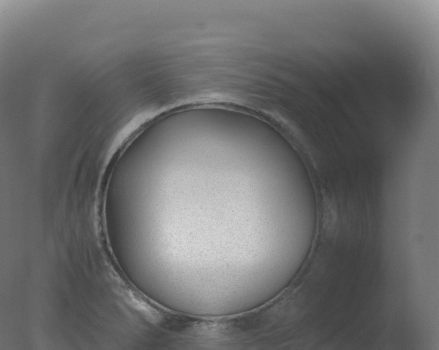 X0000077341278200610271753