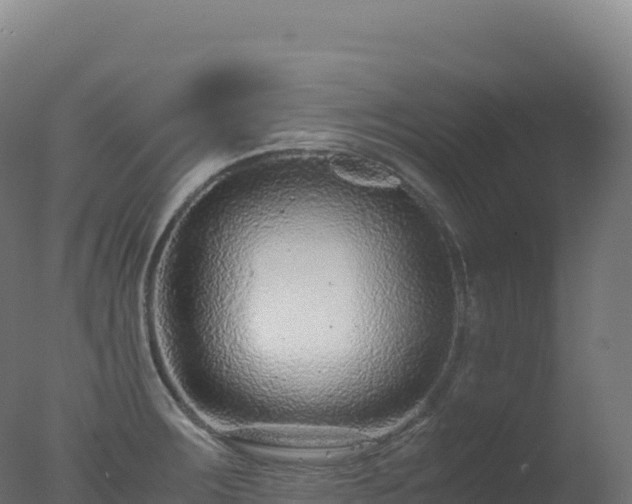 X0000077341283200610271753