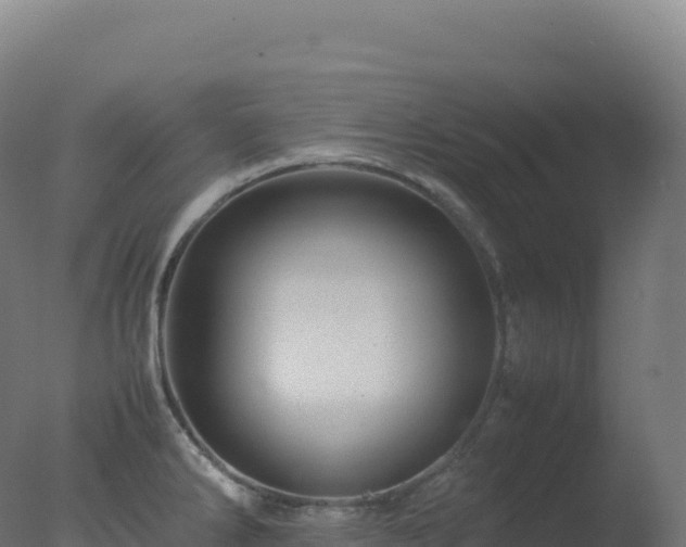 X0000077341286200610271752