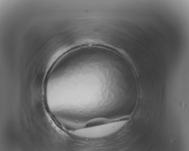 X0000077341287200610271752