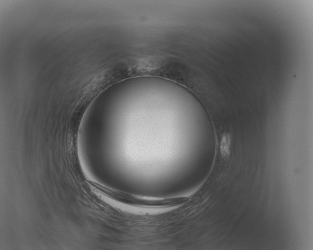 X0000077341299200610271752