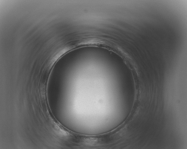 X0000077341329200610271752