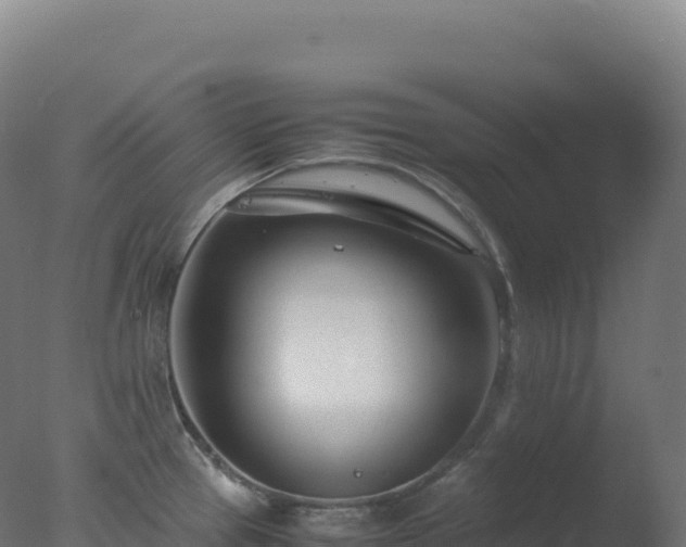 X0000077341337200610271752