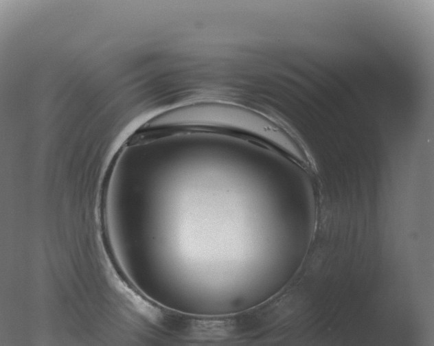 X0000077341339200610271752