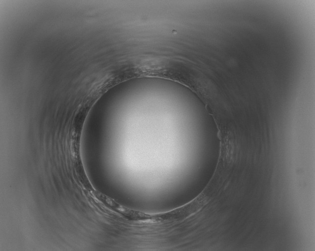X0000077341346200610271751