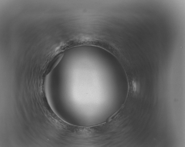 X0000077341348200610271751