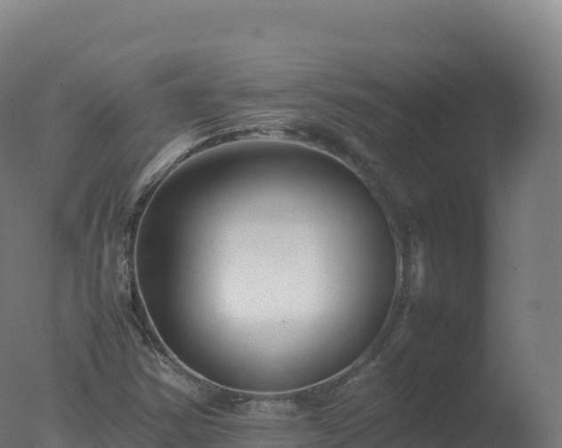 X0000077341354200610271751
