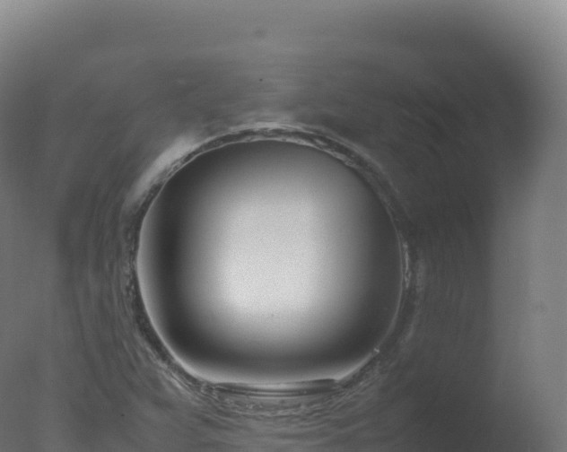 X0000077341359200610271751