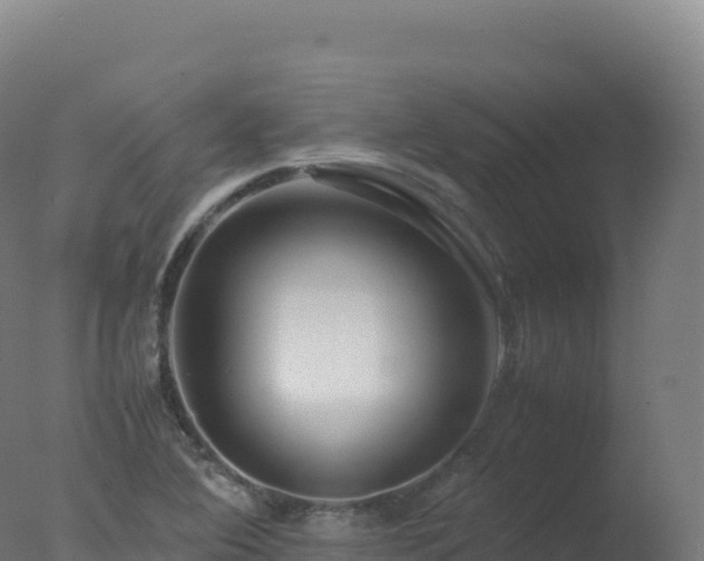 X0000077341364200610271751