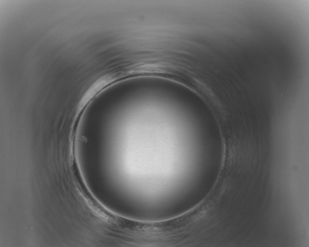 X0000077341370200610271751