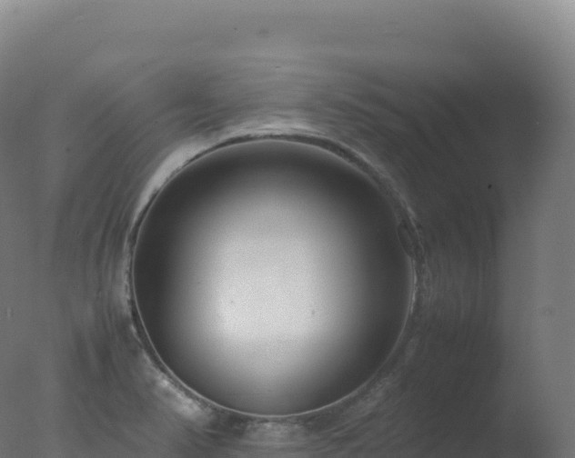 X0000077341374200610271751