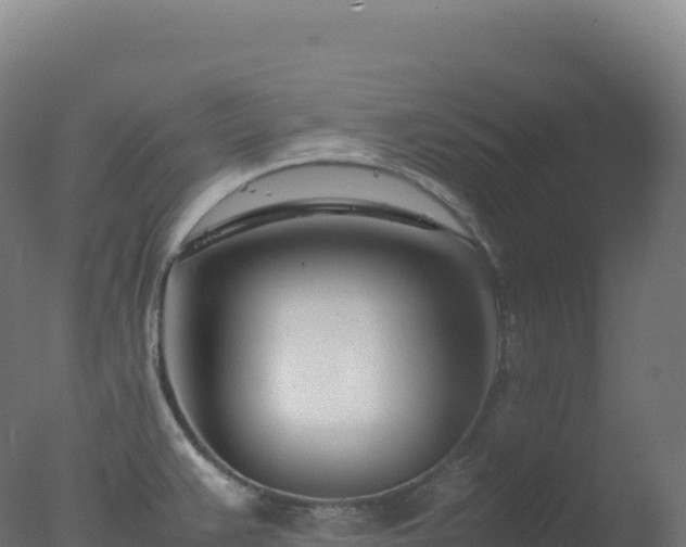 X0000077341383200610271751