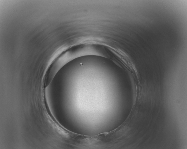 X0000077341384200610271751