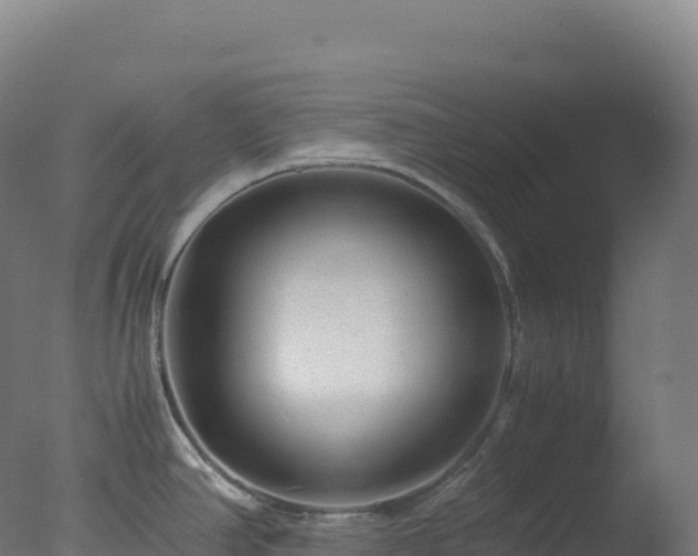 X0000077341390200610271751