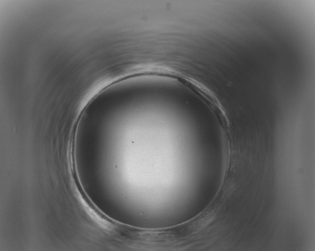 X0000077341391200610271751