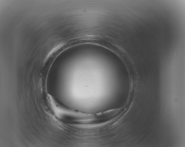 X0000077341402200610271750