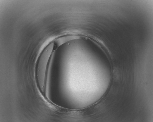 X0000077341424200610271750