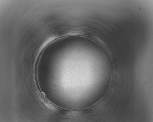 X0000077341427200610271750