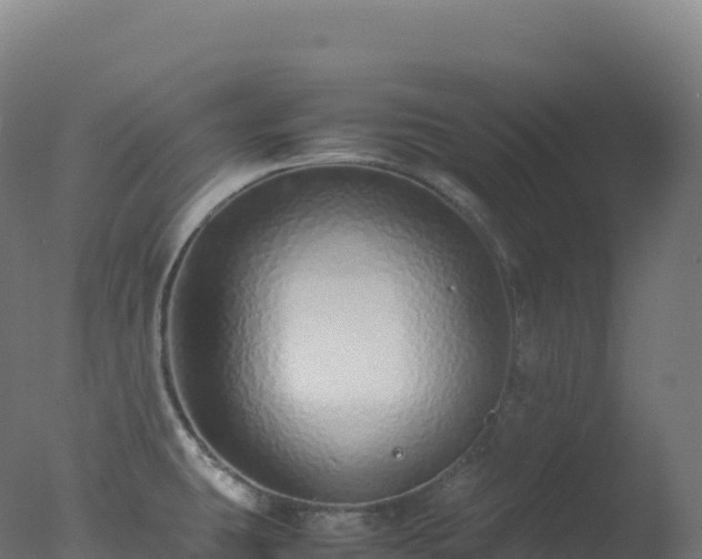 X0000077341431200610271751