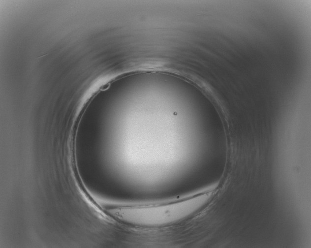 X0000077341432200610271751