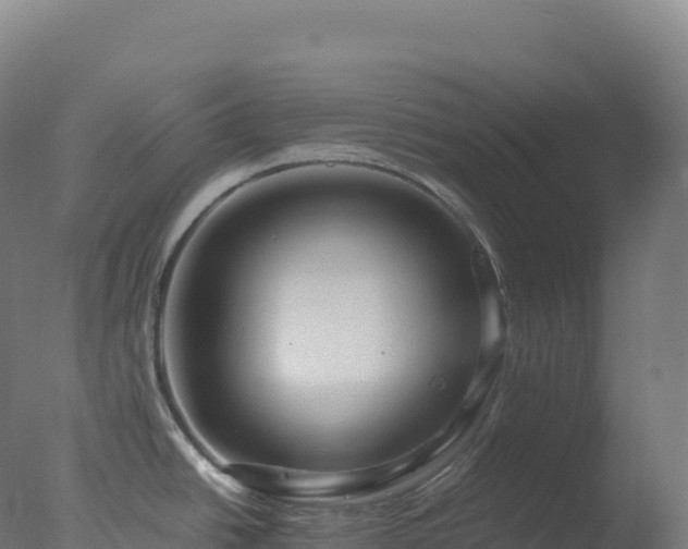 X0000077341438200610271751