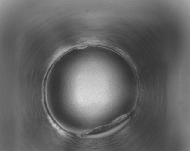 X0000077341439200610271751