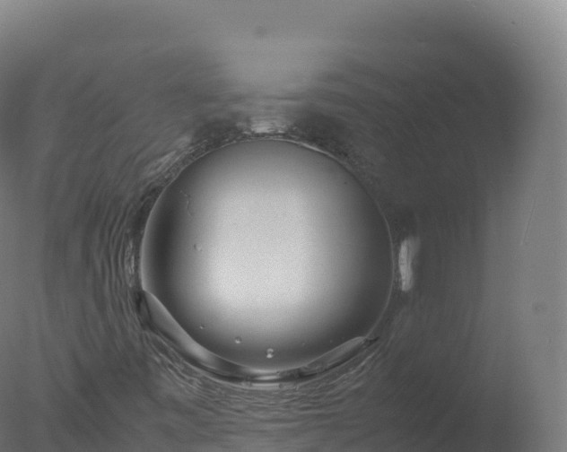 X0000077341443200610271750