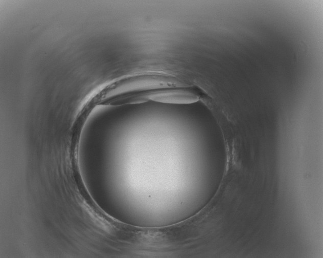 X0000077341452200610271750