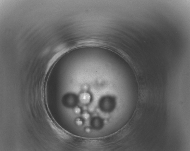 X0000077341474200610271749