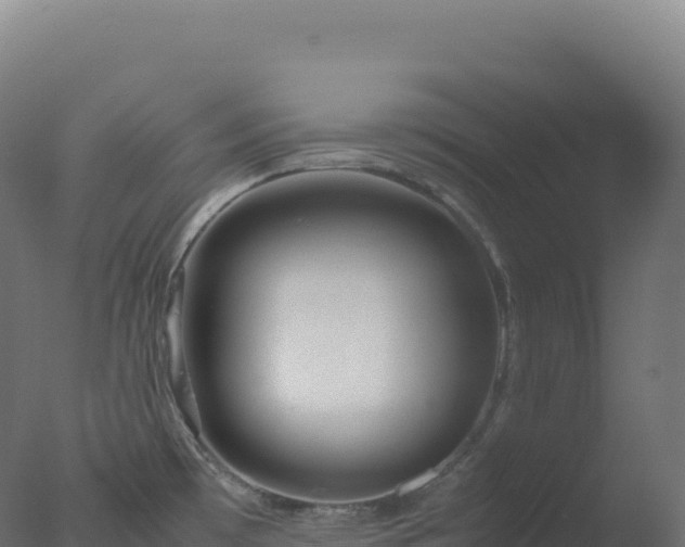 X0000077341481200610271749