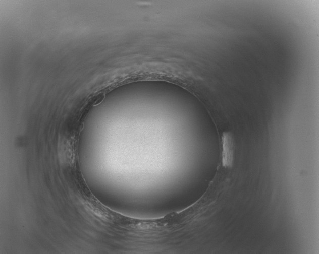 X0000077341491200610271748