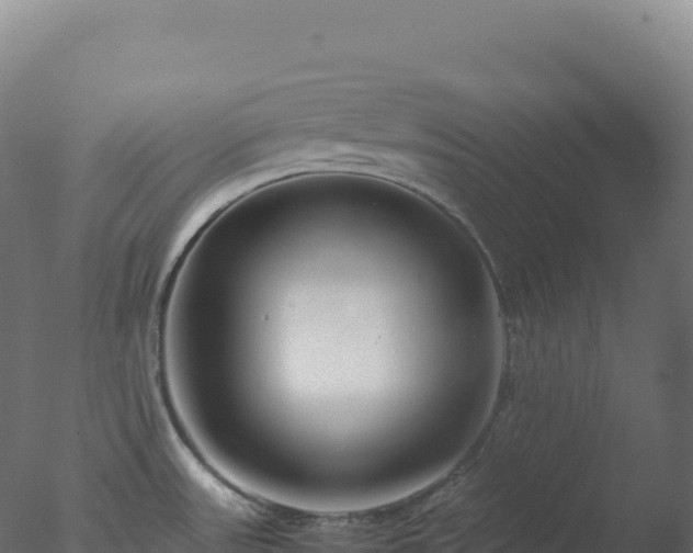 X0000077341531200610271749