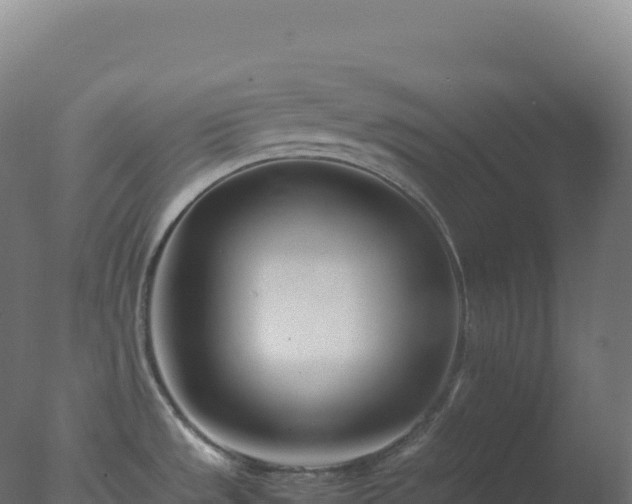 X0000077341533200610271749