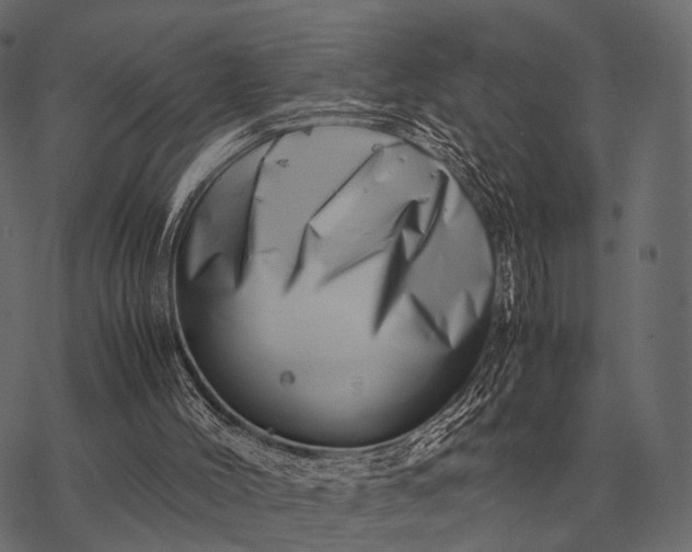 X0000077340004200611031807