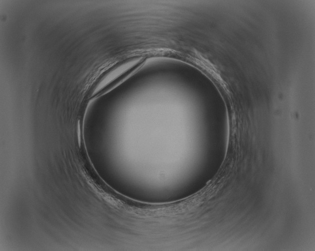X0000077340013200611031807