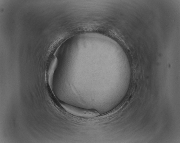 X0000077340019200611031807