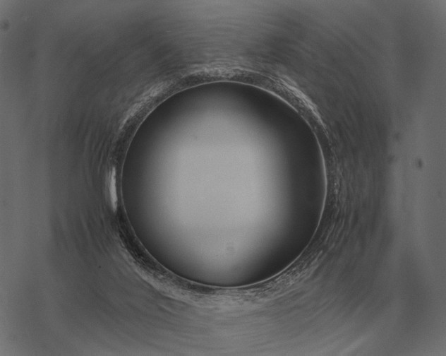 X0000077340020200611031807