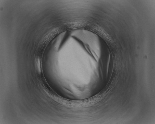 X0000077340022200611031807